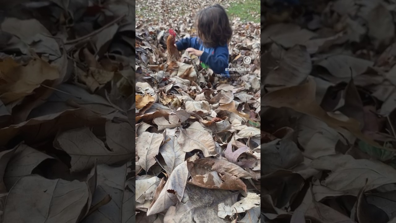 Video thumbnail representing rich farm soil